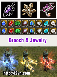 Tính năng brooch và jewelry